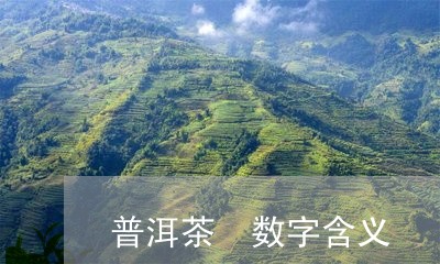 普洱茶 数字含义/2023041044027